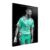 Karim BenzemaDe la colección: Football World Stars